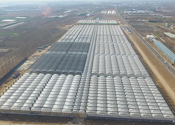 Теплицы коммерческого назначения